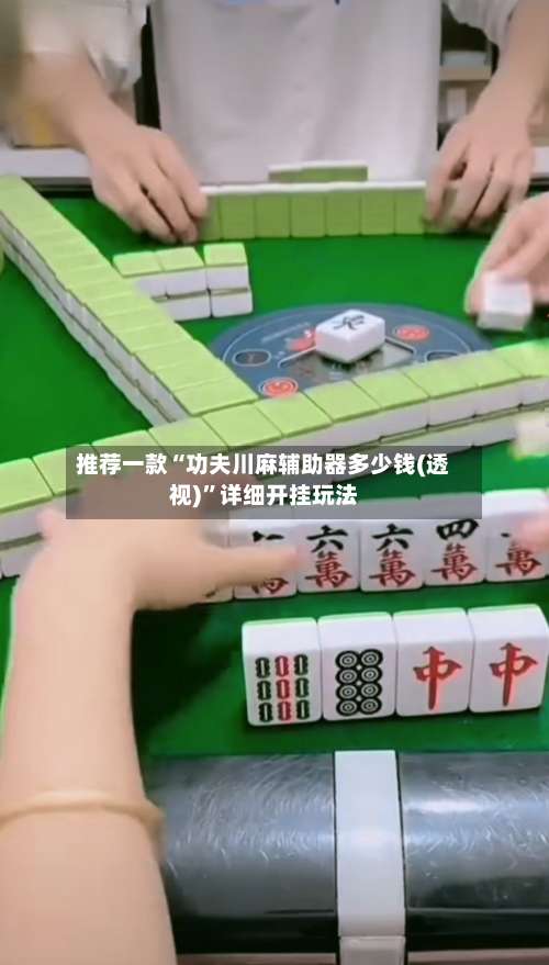 推荐一款“功夫川麻辅助器多少钱(透视)”详细开挂玩法-第3张图片