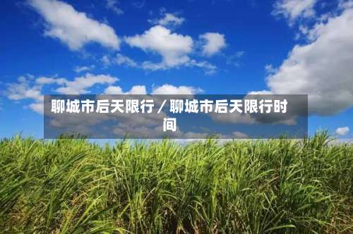 聊城市后天限行／聊城市后天限行时间-第1张图片