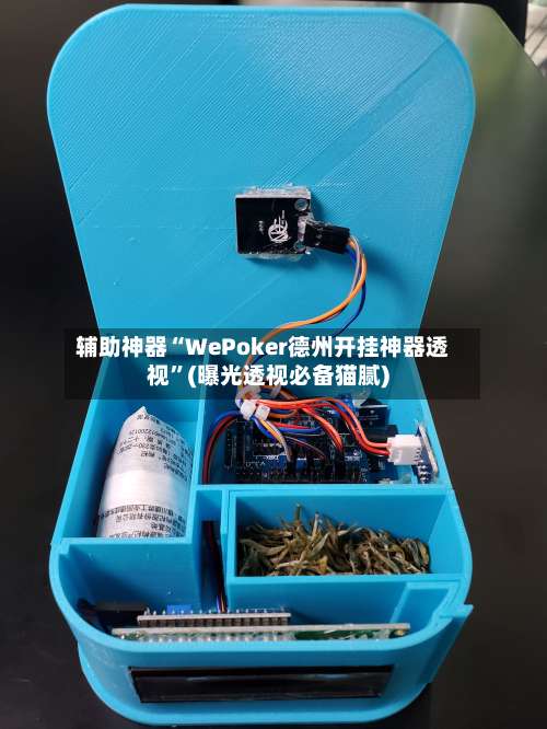 辅助神器“WePoker德州开挂神器透视”(曝光透视必备猫腻)-第2张图片