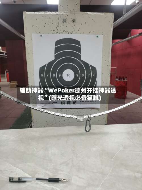 辅助神器“WePoker德州开挂神器透视”(曝光透视必备猫腻)-第3张图片