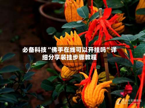 必备科技“佛手在线可以开挂吗”详细分享装挂步骤教程-第3张图片