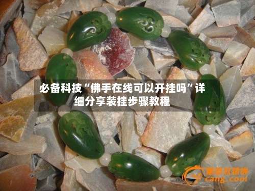 必备科技“佛手在线可以开挂吗	”详细分享装挂步骤教程-第2张图片