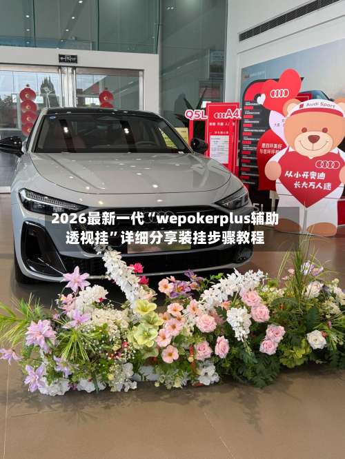 2026最新一代“wepokerplus辅助透视挂”详细分享装挂步骤教程-第1张图片