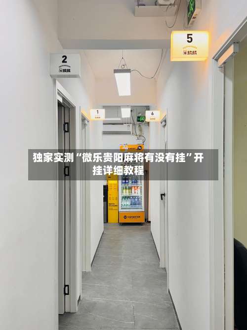 独家实测“微乐贵阳麻将有没有挂”开挂详细教程-第1张图片