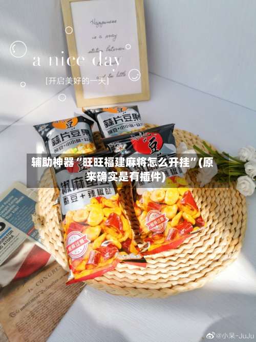 辅助神器“旺旺福建麻将怎么开挂	”(原来确实是有插件)-第2张图片