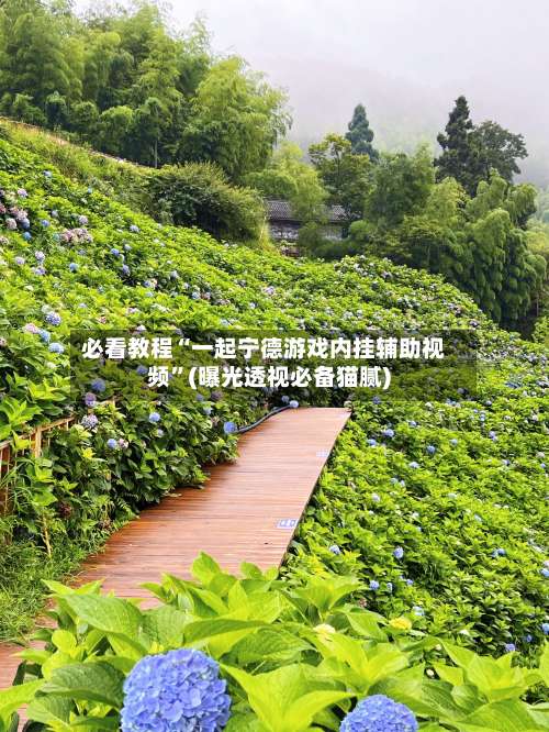 必看教程“一起宁德游戏内挂辅助视频	”(曝光透视必备猫腻)-第2张图片