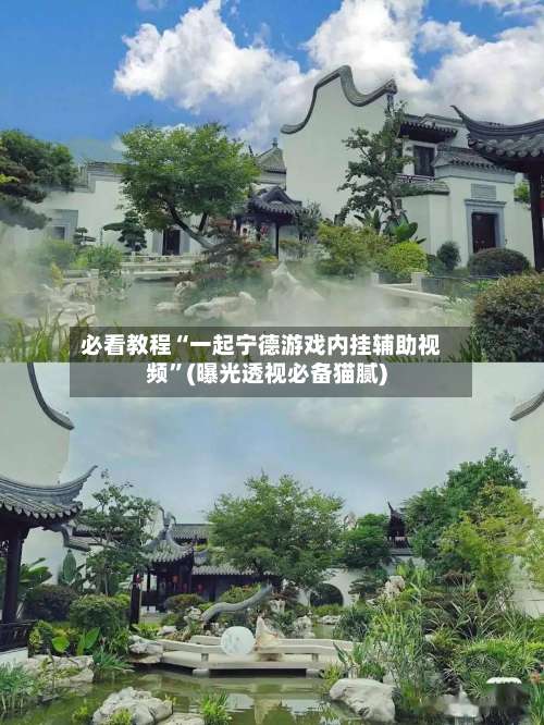 必看教程“一起宁德游戏内挂辅助视频”(曝光透视必备猫腻)-第1张图片