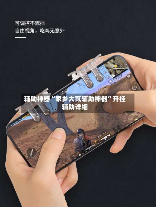 辅助神器“家乡大贰辅助神器”开挂辅助详细-第1张图片