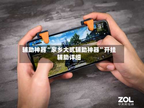 辅助神器“家乡大贰辅助神器	”开挂辅助详细-第2张图片