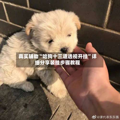 真实辅助“哈狗十三道透视开挂”详细分享装挂步骤教程-第1张图片