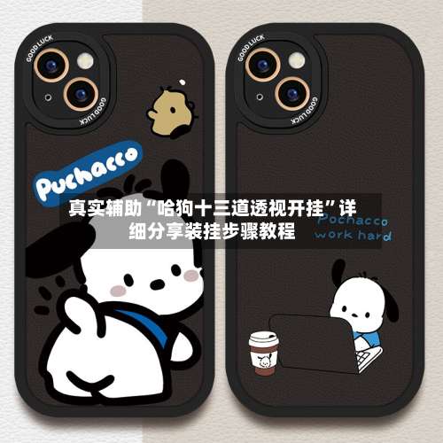 真实辅助“哈狗十三道透视开挂”详细分享装挂步骤教程-第3张图片