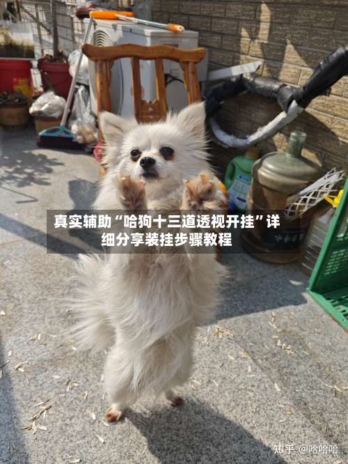 真实辅助“哈狗十三道透视开挂	”详细分享装挂步骤教程-第2张图片