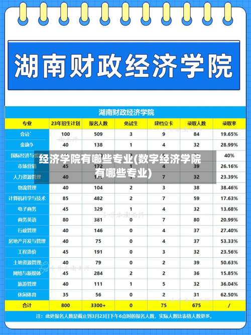 经济学院有哪些专业(数字经济学院有哪些专业)-第1张图片