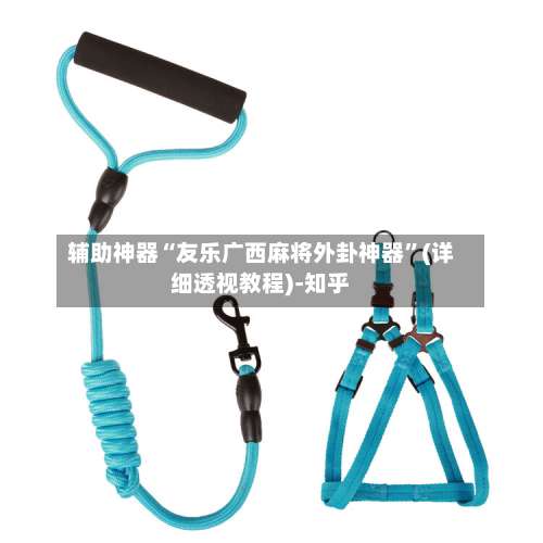 辅助神器“友乐广西麻将外卦神器”(详细透视教程)-知乎-第1张图片