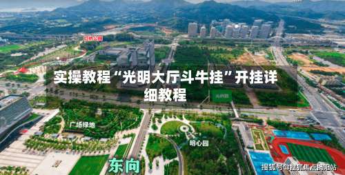 实操教程“光明大厅斗牛挂	”开挂详细教程-第2张图片