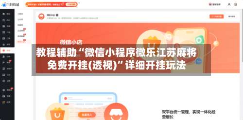 教程辅助“微信小程序微乐江苏麻将免费开挂(透视)”详细开挂玩法-第2张图片