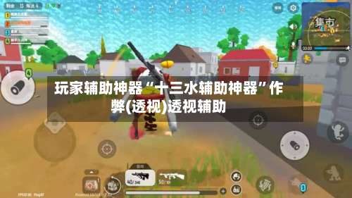 玩家辅助神器“十三水辅助神器	”作弊(透视)透视辅助-第3张图片