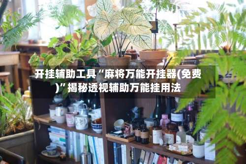 开挂辅助工具“麻将万能开挂器(免费)	”揭秘透视辅助万能挂用法-第2张图片