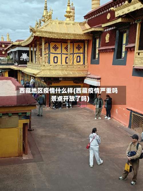 西藏地区疫情什么样(西藏疫情严重吗景点开放了吗)-第1张图片
