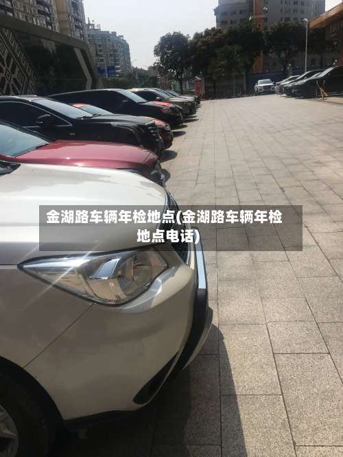 金湖路车辆年检地点(金湖路车辆年检地点电话)-第1张图片