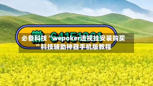 必备科技“wepoker透视挂安装购买”科技辅助神器手机版教程-第1张图片