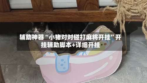 辅助神器“小猪对对碰打麻将开挂	”开挂辅助脚本+详细开挂-第1张图片