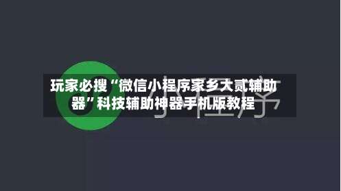 玩家必搜“微信小程序家乡大贰辅助器”科技辅助神器手机版教程-第2张图片