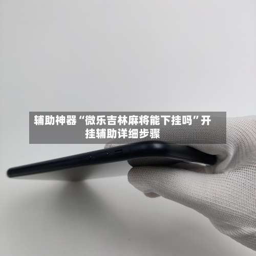 辅助神器“微乐吉林麻将能下挂吗”开挂辅助详细步骤-第3张图片