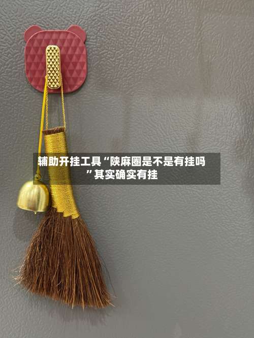 辅助开挂工具“陕麻圈是不是有挂吗	”其实确实有挂-第1张图片