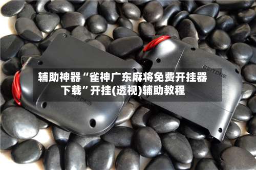 辅助神器“雀神广东麻将免费开挂器下载	”开挂(透视)辅助教程-第1张图片