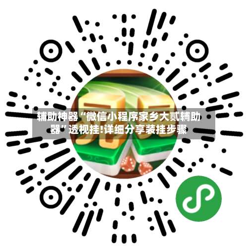 辅助神器“微信小程序家乡大贰辅助器”透视挂!详细分享装挂步骤-第2张图片