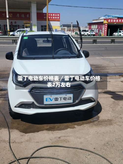 雷丁电动车价格表／雷丁电动车价格表2万左右-第1张图片