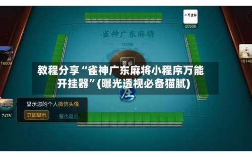 教程分享“雀神广东麻将小程序万能开挂器”(曝光透视必备猫腻)-第3张图片