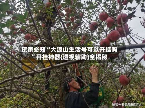 玩家必知“大凉山生活号可以开挂吗	”开挂神器{透视辅助}全揭秘-第1张图片