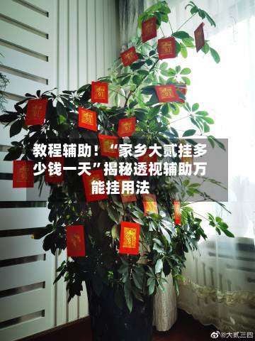 教程辅助！“家乡大贰挂多少钱一天”揭秘透视辅助万能挂用法-第1张图片