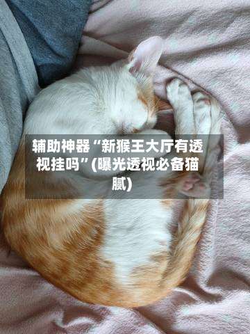 辅助神器“新猴王大厅有透视挂吗”(曝光透视必备猫腻)-第3张图片