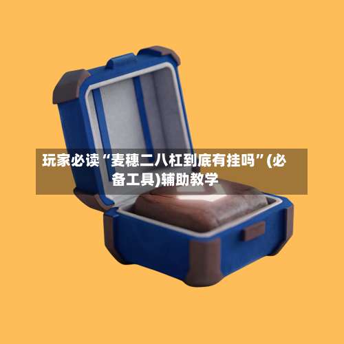 玩家必读“麦穗二八杠到底有挂吗”(必备工具)辅助教学-第1张图片