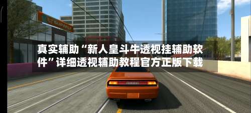 真实辅助“新人皇斗牛透视挂辅助软件”详细透视辅助教程官方正版下载-第1张图片