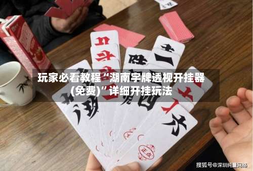 玩家必看教程“湖南字牌透视开挂器(免费)	”详细开挂玩法-第2张图片