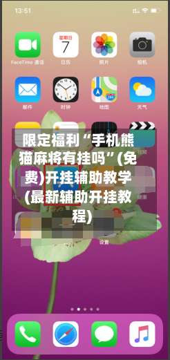 限定福利“手机熊猫麻将有挂吗”(免费)开挂辅助教学(最新辅助开挂教程)-第3张图片