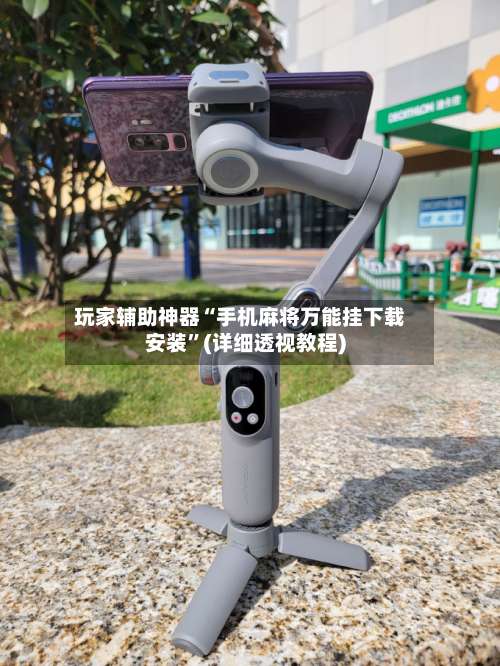 玩家辅助神器“手机麻将万能挂下载安装”(详细透视教程)-第3张图片