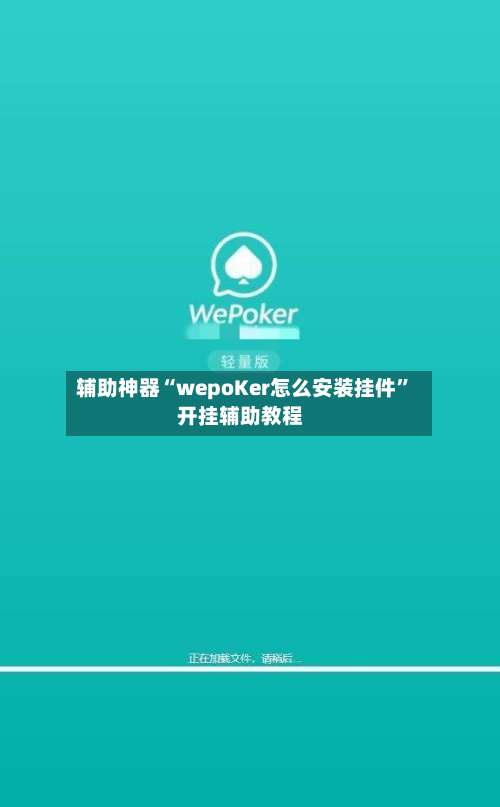辅助神器“wepoKer怎么安装挂件	”开挂辅助教程-第3张图片