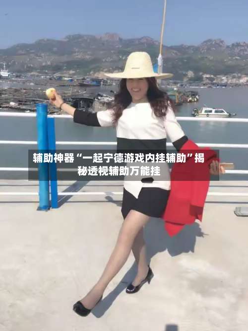 辅助神器“一起宁德游戏内挂辅助”揭秘透视辅助万能挂-第1张图片