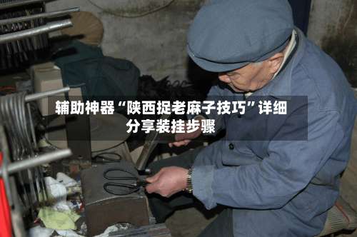 辅助神器“陕西捉老麻子技巧	”详细分享装挂步骤-第2张图片