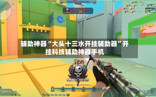 辅助神器“大头十三水开挂辅助器	”开挂科技辅助神器手机-第1张图片