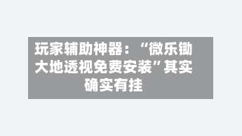 玩家辅助神器：“微乐锄大地透视免费安装	”其实确实有挂-第1张图片