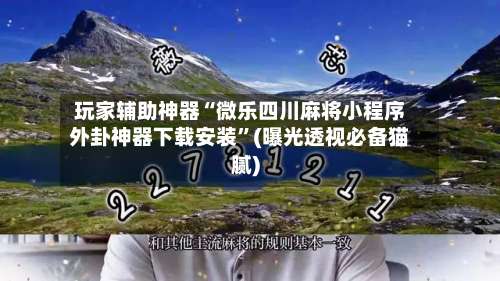 玩家辅助神器“微乐四川麻将小程序外卦神器下载安装”(曝光透视必备猫腻)-第3张图片
