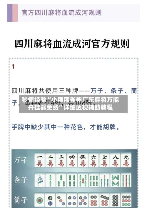 秒懂经验“小程序雀神广东麻将万能开挂器免费”详细透视辅助教程-第1张图片