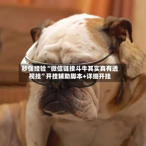 秒懂经验“微信链接斗牛其实真有透视挂	”开挂辅助脚本+详细开挂-第1张图片