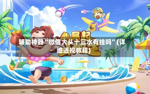 辅助神器“微信大头十三水有挂吗	”(详细透视教程)-第1张图片